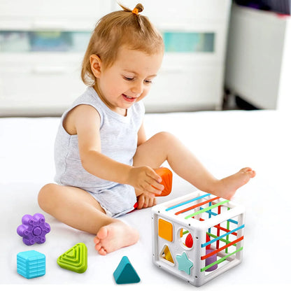 Baby Toys 6-12 Months, Shape Sorter Blocks Toy,Montessori Learning Toys for 1 Year Old Boys Girls Christmas Gift